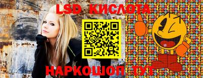 ГАЛЛЮЦИНОГЕННЫЕ ГРИБЫ Ливны