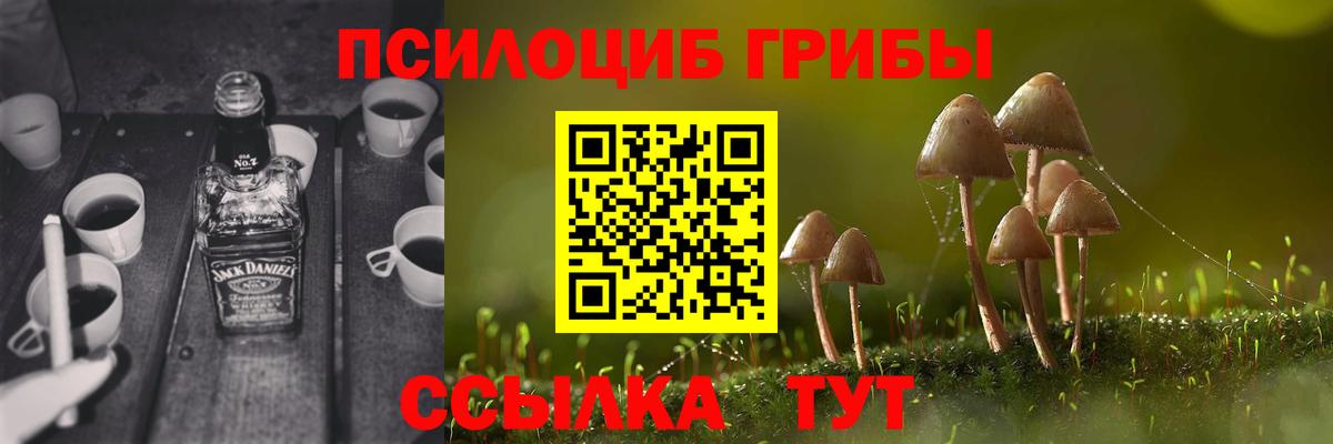 Шадринск  Галлюциногенные грибы ЛСД  Галлюциногенные грибы Psilocybine cubensis  наркота  Вход с VPN 
